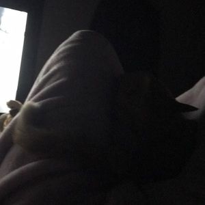 Meet your Posher, Claren